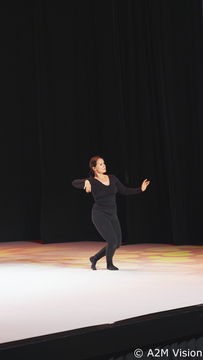 Finesa plesa (4)